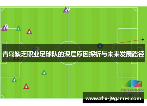 青岛缺乏职业足球队的深层原因探析与未来发展路径