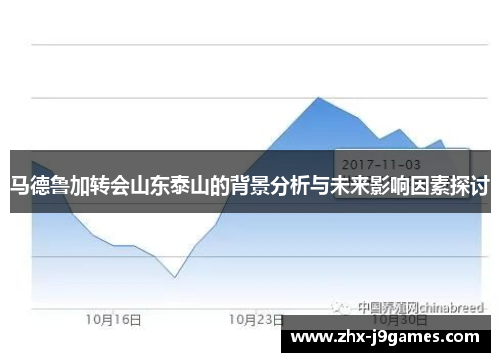 马德鲁加转会山东泰山的背景分析与未来影响因素探讨